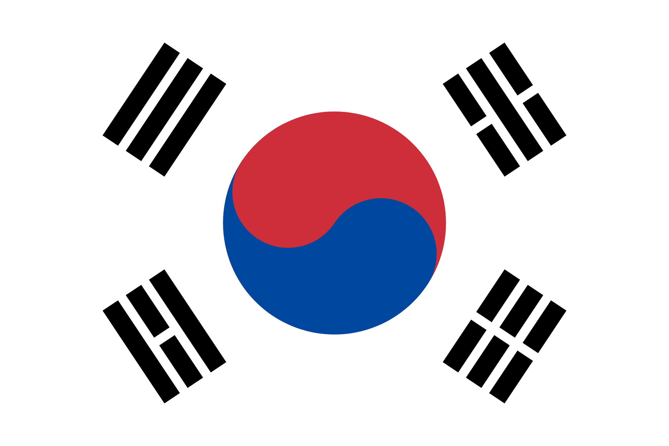 Language Flag